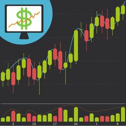 10万元创业项目代理加盟，实现财富自由的捷径