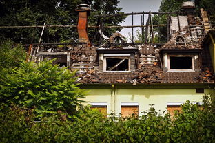 探秘遵义，当地房屋建造品牌的风采