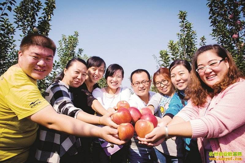 大学生回农村创业政策,大学生回农村创业政策有哪些