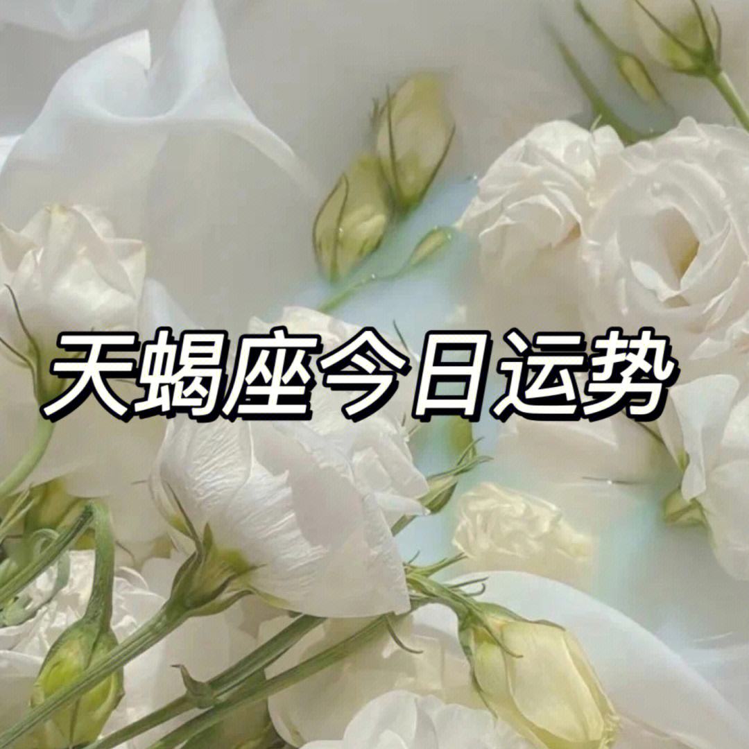 天蝎座女今日运势2019(天蝎座女今日运势2019年)