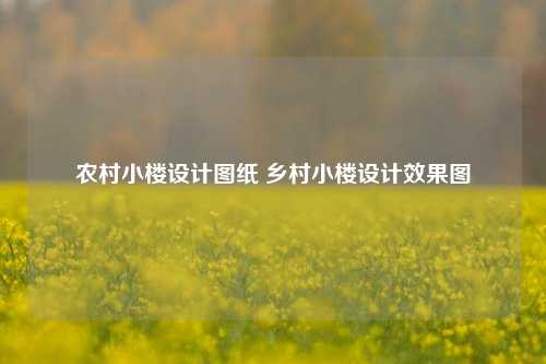 农村小楼设计图纸 乡村小楼设计效果图